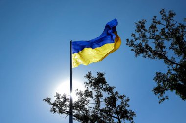 Ukrayna bayrağı. Sarı mavi Ukrayna bayrağı gökyüzü arka plan üzerinde. Ukrayna'nın bağımsızlık günü. Güneş ışınlarının Ulusal simge