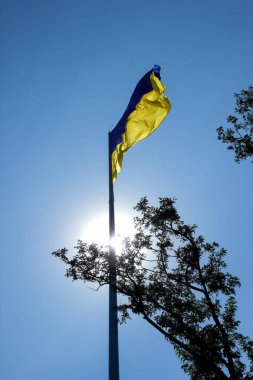 Ukrayna bayrağı. Sarı mavi Ukrayna bayrağı gökyüzü arka plan üzerinde. Ukrayna'nın bağımsızlık günü. Güneş ışınlarının Ulusal simge. Mavi arka plan