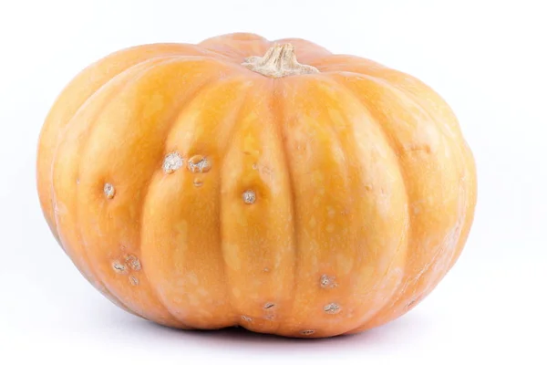 Pumpa Vit Bakgrund Isolerade Pumpa Orange Vegetabiliska Närbild Hälsosam Mat — Stockfoto