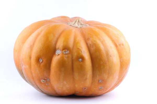 Pumpa Vit Bakgrund Isolerade Pumpa Orange Vegetabiliska Närbild Hälsosam Mat — Stockfoto