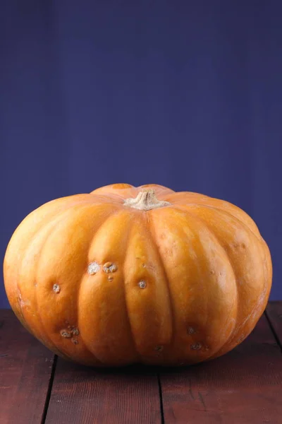 Abóbora Fundo Azul Abóbora Tábuas Madeira Laranja Vegetal Close Comida — Fotografia de Stock