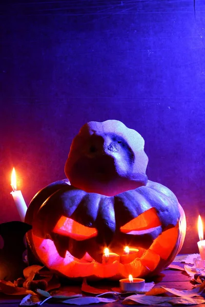 Halloween Świecące Dyni Ciemny Niebieski Jasny Bat Halloween Pumpkin Głowy — Zdjęcie stockowe