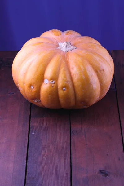 Halloween Dovleac Fundal Albastru Dovleac Plăci Lemn Legumele Portocalii Apropie — Fotografie, imagine de stoc