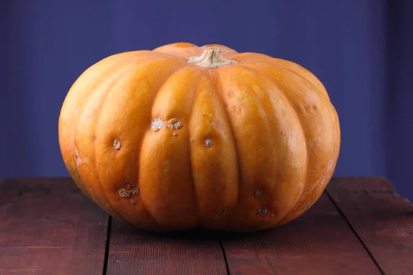 Dia Das Bruxas Abóbora Fundo Azul Abóbora Tábuas Madeira Laranja — Fotografia de Stock