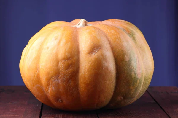 Halloween Pumpa Blå Bakgrund Pumpa Brädor Orange Grönsak Närbild Hälsosam — Stockfoto