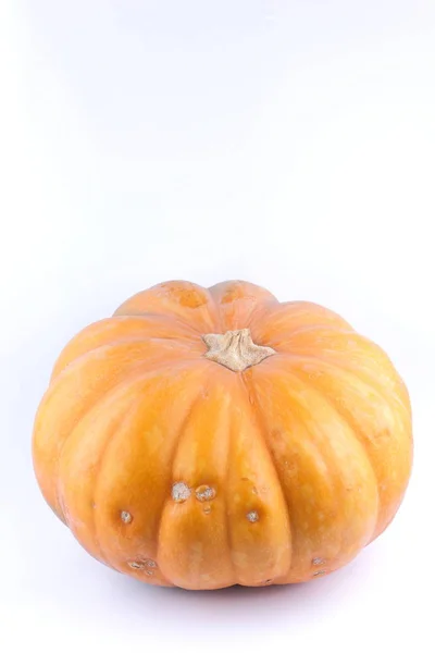Pumpa Vit Bakgrund Isolerade Pumpa Orange Grönsak Närbild Hälsosam Mat — Stockfoto