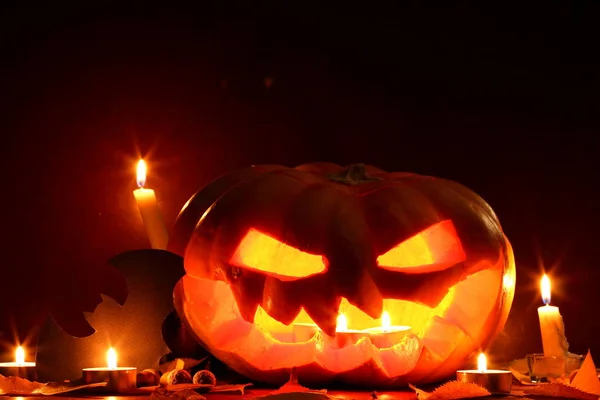 Halloween Tök Denevér Halloween Sütőtök Fej Jack Lantern Háttér Őszi — Stock Fotó