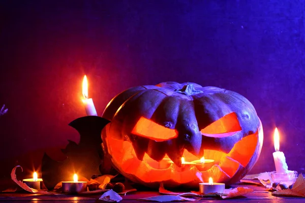Halloween Pumpkin Glowing Pumpkin Dark Blue Light Bat Halloween Pumpkin — Stock Photo, Image