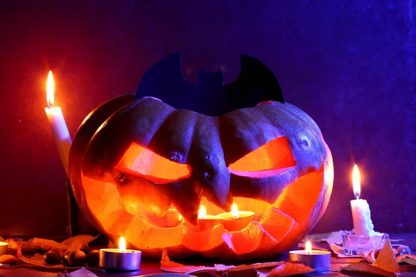 Halloween Zucca Luminosa Luce Blu Scuro Pipistrello Halloween Zucca Testa — Foto Stock