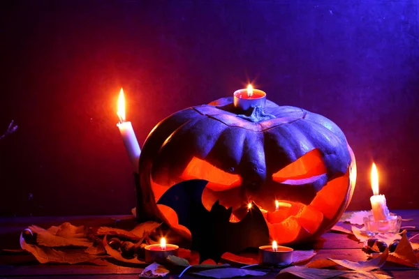 Halloween Glowing Pumpkin Dark Blue Light Bat Halloween Pumpkin Head — Stock Photo, Image