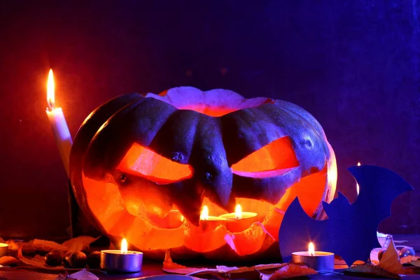 Halloween Świecące Dyni Ciemny Niebieski Jasny Bat Halloween Pumpkin Głowy — Zdjęcie stockowe