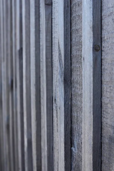 Background Wooden Logs Texture Wooden Boards Natural Pattern Pine Blank — Stock Photo, Image