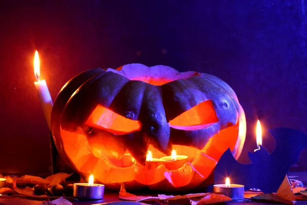 Halloween Izzó Tök Sötét Kék Fény Denevér Halloween Sütőtök Fej — Stock Fotó