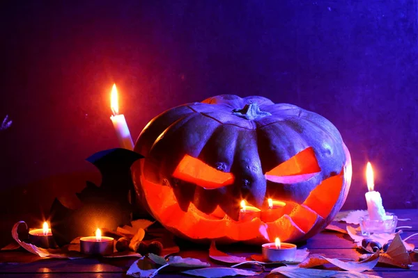 Halloween Izzó Tök Sötét Kék Fény Denevér Halloween Sütőtök Fej — Stock Fotó