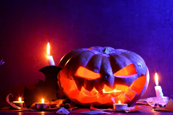 Halloween Izzó Tök Sötét Kék Fény Denevér Halloween Sütőtök Fej — Stock Fotó