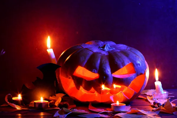 Halloween Glowing Pumpkin Dark Blue Light Bat Halloween Pumpkin Head — Stock Photo, Image