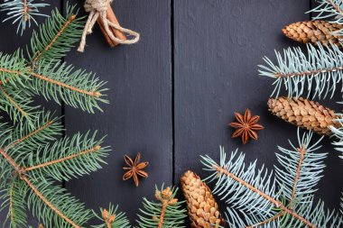 Noel desenle çam dalları ve çam kozalakları. Tarçın, anason ve çam dalları karanlık kurullarında. Noel twigs ve çam kozalakları ahşap kurullarında. Kopya alanı