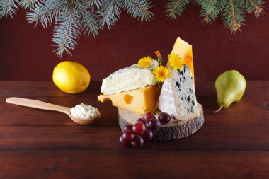 Ahşap arka plan ve Noel ağacı dalları üzerinde peynir ürün yelpazesine. İsviçre peyniri, mavi peynir, camembert ve Noel için süzme peynir. Süt ve süt ürünleri, limon, üzüm ve armut ahşap kurullarında