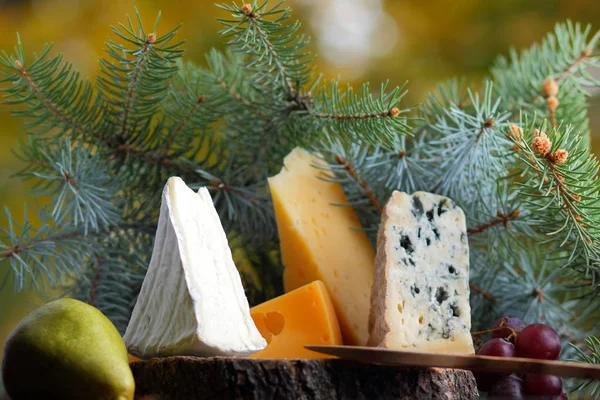 Different Sorts Cheese Fruit Christmas Tree Branches Blue Cheese Camembert — Stock Photo, Image