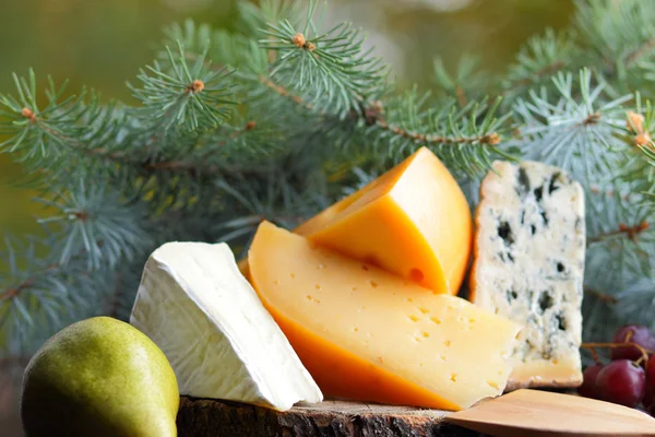 Différentes Sortes Fromage Fruits Avec Des Branches Arbre Noël Fromage — Photo