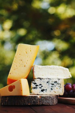 Camembert, brie, sert peynir ve mavi peynir bir ahşap tahta üzerinde. Dilim çeşitli peynirler ve üzüm üzerinde arka plan bulanık. Dorblu ve ahşap kurullarında yumuşak peynir. Peynir ve bokeh üzüm