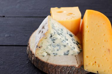 Sert peynir ve mavi peynir bir ahşap stand. Peynir siyah kurullarında farklı türleri. İsviçre peyniri ve karanlık bir arka plan üzerinde dorblu. Kopya alanı