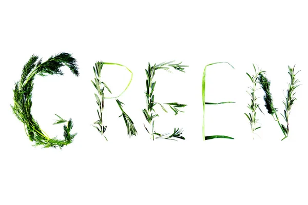 Слово Зеленый Зелеными Травами Укроп Розмарин Зеленый Лук Белом Фоне — стоковое фото