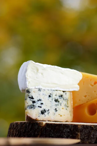 木板上有各种类型的奶酪和梨 在模糊的背景上的奶酪片 多布卢 卡门伯特和硬黄色奶酪 — 图库照片