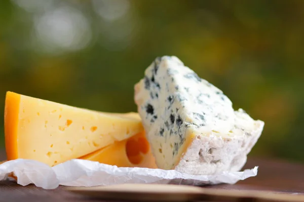 木板上的奶酪 各种奶酪在自然模糊的背景 羊皮纸上的多布布 卡门伯特和硬黄色奶酪 复制空间 — 图库照片