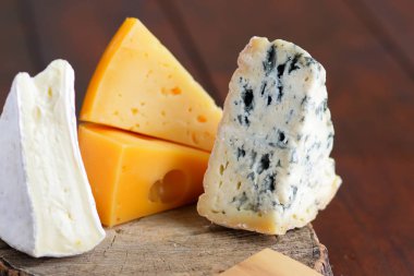 Peynir ahşap kurullarında. Çeşitli peynir üzerinde arka plan bulanık. Dorblu, camembert ve sert sarı peynir. Kopya alanı