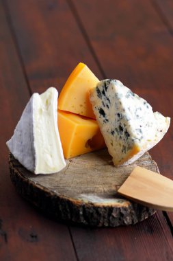 Peynir ahşap kurullarında. Çeşitli peynir üzerinde arka plan bulanık. Dorblu, camembert ve sert sarı peynir. Kopya alanı