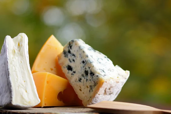 木板上的奶酪 模糊背景上的各种类型的奶酪 多布布 卡门伯特和硬黄色奶酪 复制空间 — 图库照片