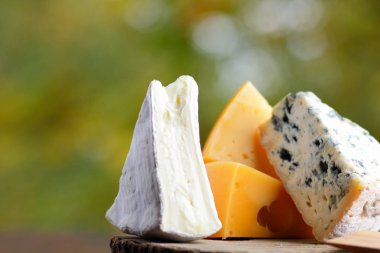 Peynir ahşap kurullarında. Çeşitli peynir üzerinde arka plan bulanık. Dorblu, camembert ve sert sarı peynir. Kopya alanı