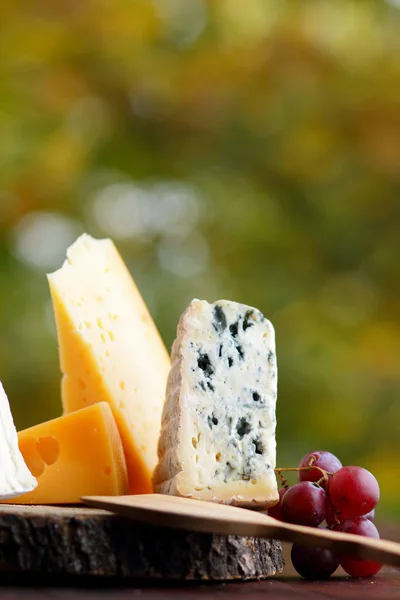 木板上的奶酪和葡萄 不同类型的奶酪和水果在模糊的背景 多布卢 卡门伯特和硬黄色奶酪 — 图库照片
