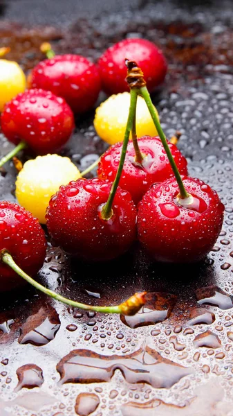 Cerezas Rojas Amarillas Gotas Agua Cerezas Frescas Sobre Fondo Oscuro — Foto de Stock