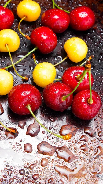 Cerezas Rojas Amarillas Gotas Agua Cerezas Frescas Sobre Fondo Oscuro — Foto de Stock