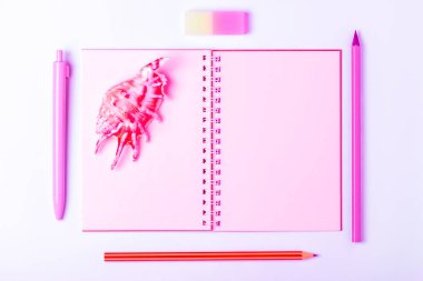 Okul konseptine geri dönelim. Okul kırtasiye ve mavi pembe arka plan üzerinde kabuk. Düz yatıyordu. Üstte görüntü