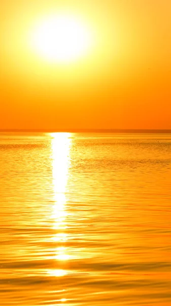 Orange sunset over the sea. Bright orange sun on horizon of the sea. Sunset in minimalism style in golden color. Holidays by the sea