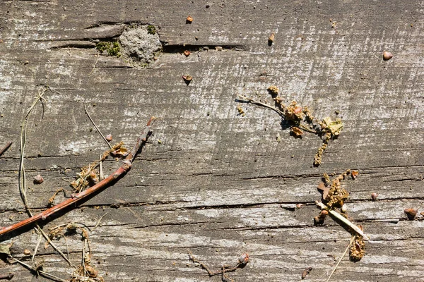 Sfondo Legno Incrinato Texture Vecchia Tavola Legno Modello Retrò — Foto Stock