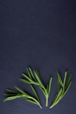 Siyah arka planda biberiye dalları. Taze biberiye kayrak taşında. Kopya alanı ile et yemekleri pişirmek için otlar. Üstte görüntü