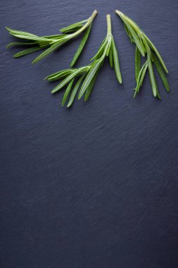 Siyah arka planda biberiye dalları. Taze biberiye kayrak taşında. Kopya alanı ile et yemekleri pişirmek için otlar. Üstte görüntü