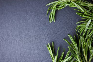 Siyah arka planda biberiye dalları. Taze biberiye kayrak taşında. Kopya alanı ile et yemekleri pişirmek için otlar. Üstte görüntü