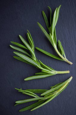 Siyah arka planda biberiye dalları. Taze biberiye kayrak taşında. Kopya alanı ile et yemekleri pişirmek için otlar. Üstte görüntü