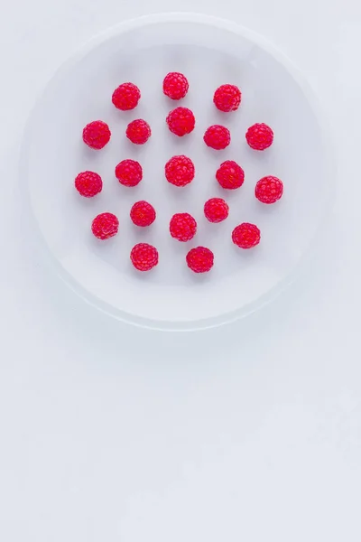 Βατόμουρα Λευκό Πιάτο Κόκκινα Μούρα Από Βατόμουρο Λευκό Φόντο Μούρα — Φωτογραφία Αρχείου