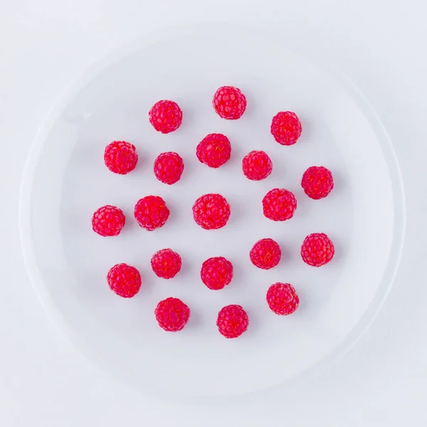Raspberries White Plate Red Raspberry Berries White Background Berries Vegan — Stock Photo, Image