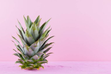Ananas pembe bir arka plan üzerinde bırakır. Taze ananas yaprakları. Yaz konsepti. Üst te. Kopyalama alanı