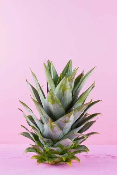 Pineapple leaves on a pink background. Fresh pineapple leaves. Summer concept. Top view. Copy space