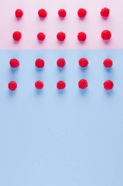 Pembe mavi arka plan üzerinde ahududu Desen. Renkli diyet ve sağlıklı gıda kavramı. Ahududu arka plan. Üst te. Düz yatıyordu. Kopyalama alanı