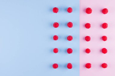 Pembe mavi arka plan üzerinde ahududu Desen. Renkli diyet ve sağlıklı gıda kavramı. Ahududu arka plan. Üst te. Düz yatıyordu. Kopyalama alanı