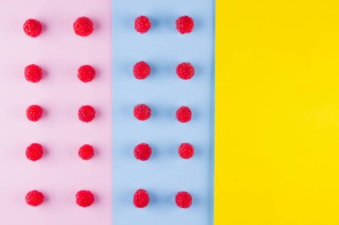 Çok renkli arka planda ahududu deseni. Renkli diyet ve sağlıklı gıda kavramı. Ahududu arka plan. Üst te. Düz yatıyordu. Kopyalama alanı